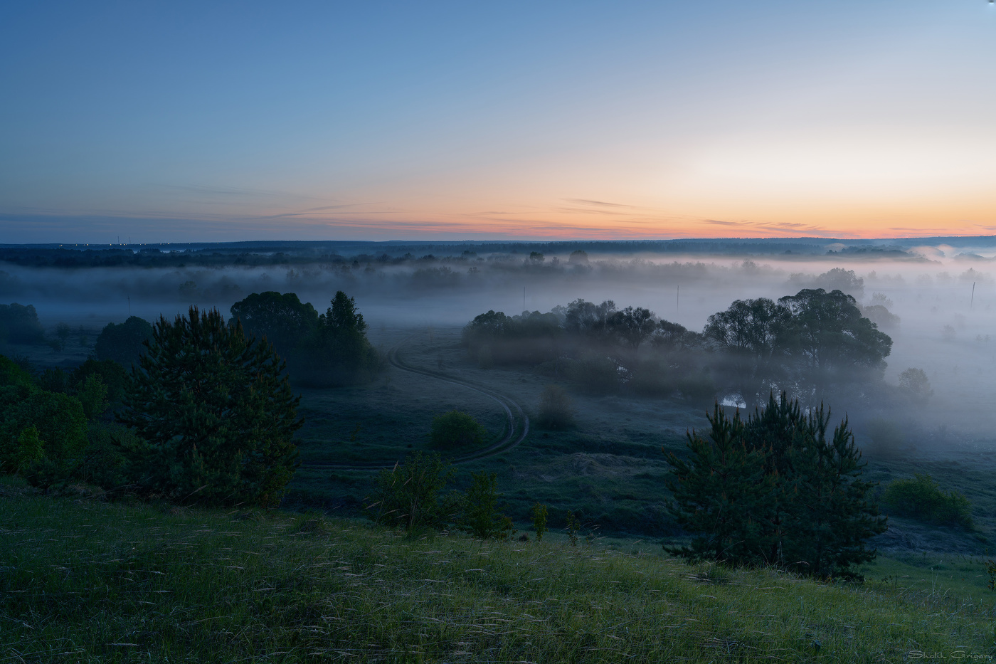 Die Straße im Nebel