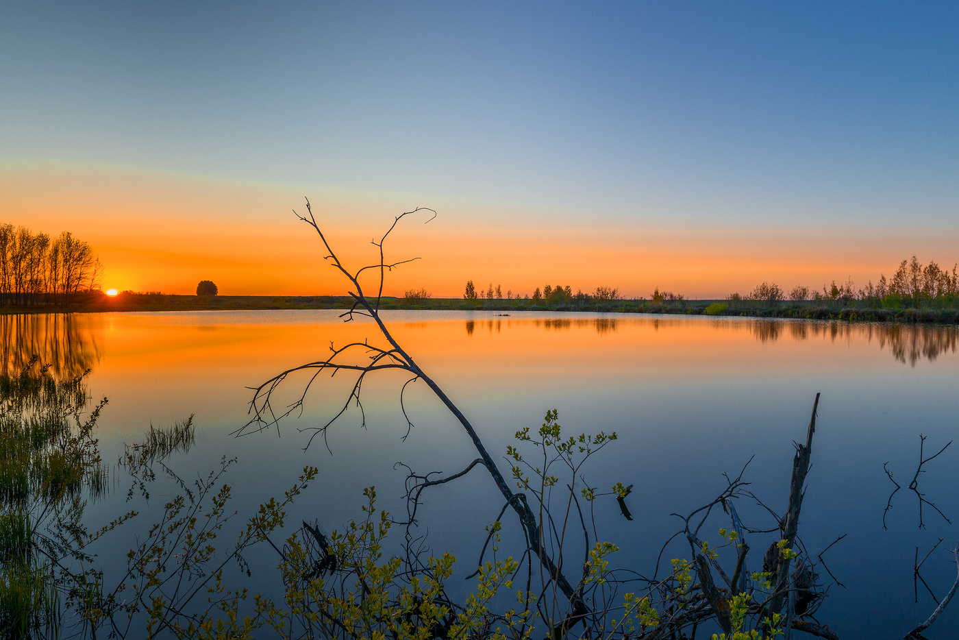 ohne Worte ... oder Sie wissen nicht, wie ich es nennen)))