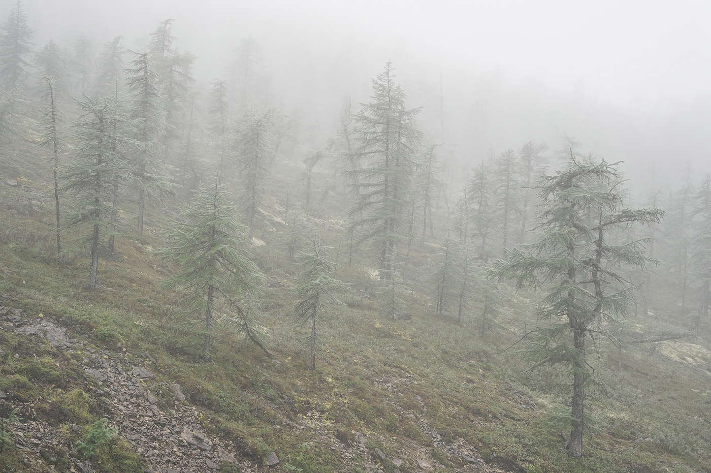 An einem regnerischen Tag