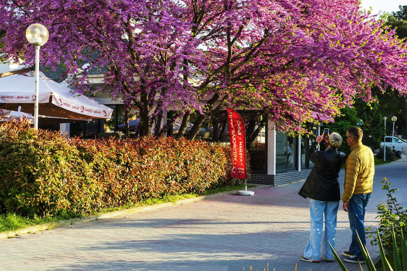 Foto auf der Speicher