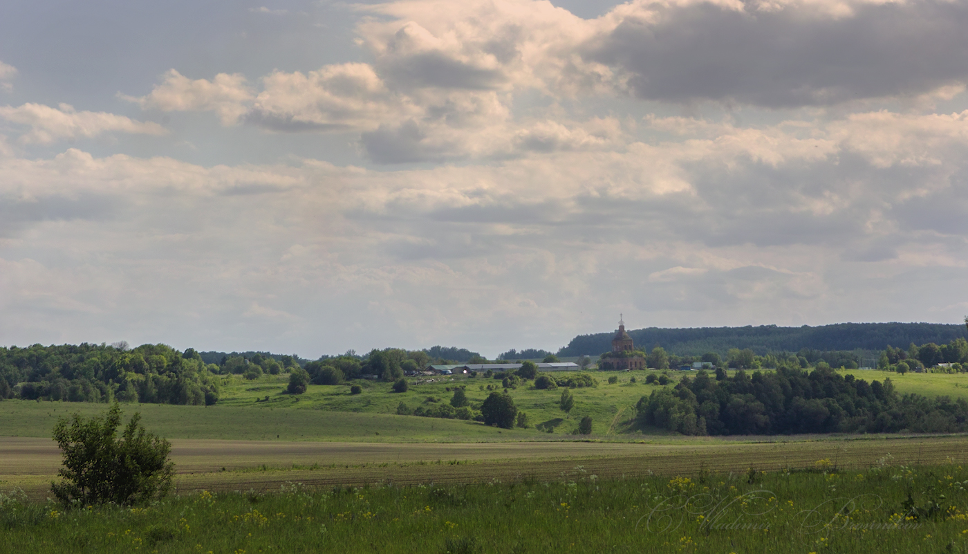 Einheimische Freiflächen