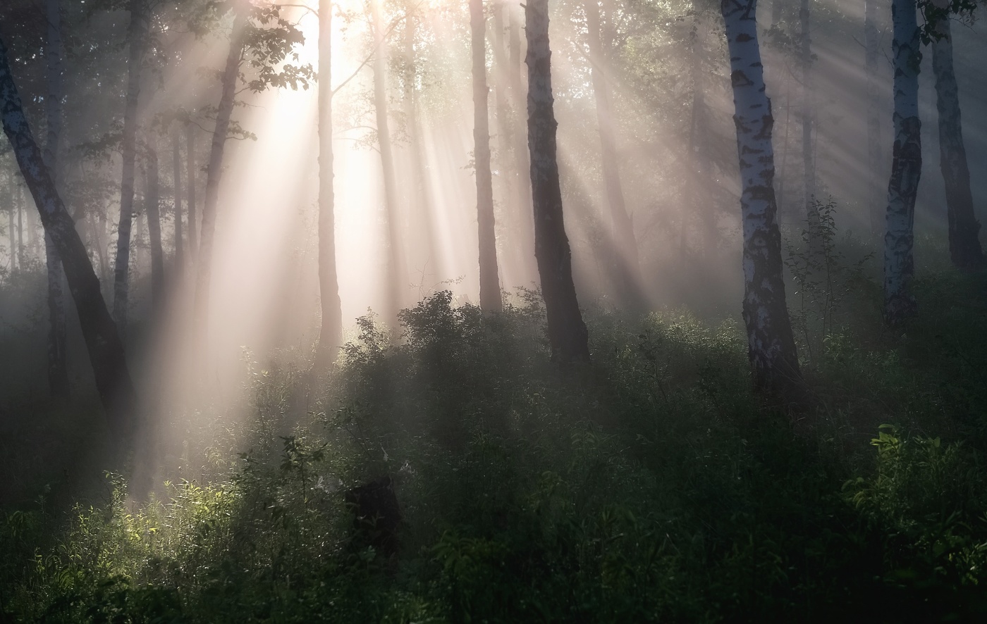 Mit den ersten Strahlen