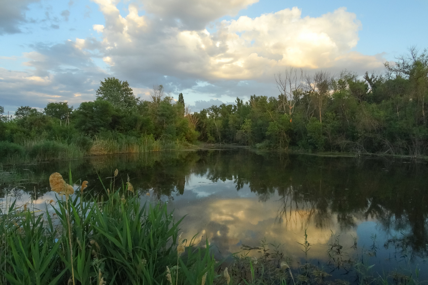 Vor Sonnenuntergang.