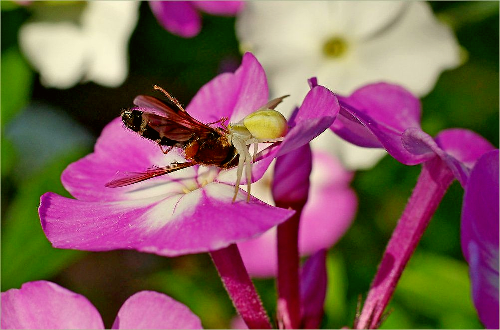 Billet für den Winter
