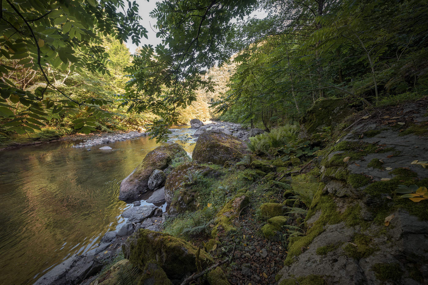 Chakvistskali Valley