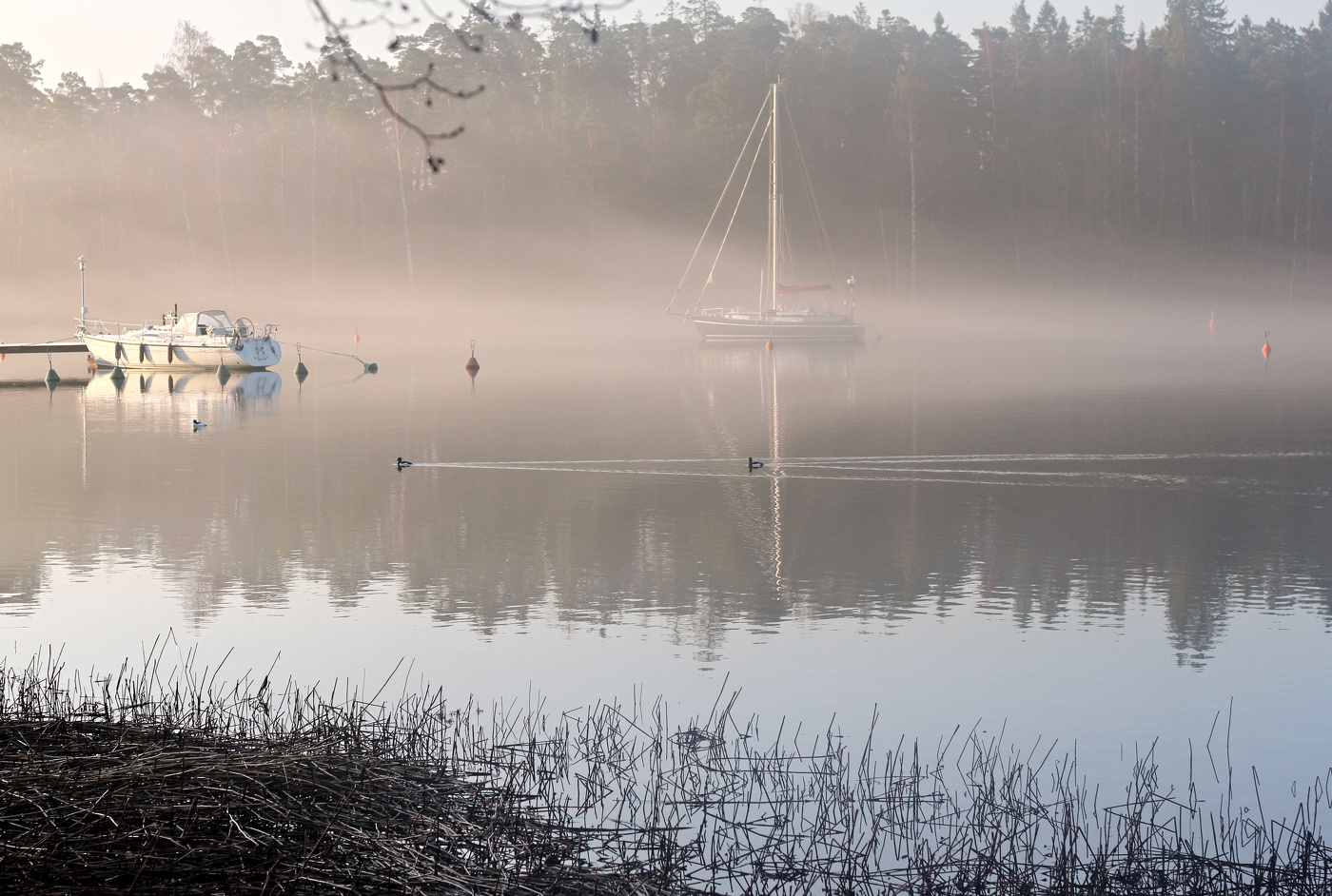In der Stille des Morgens