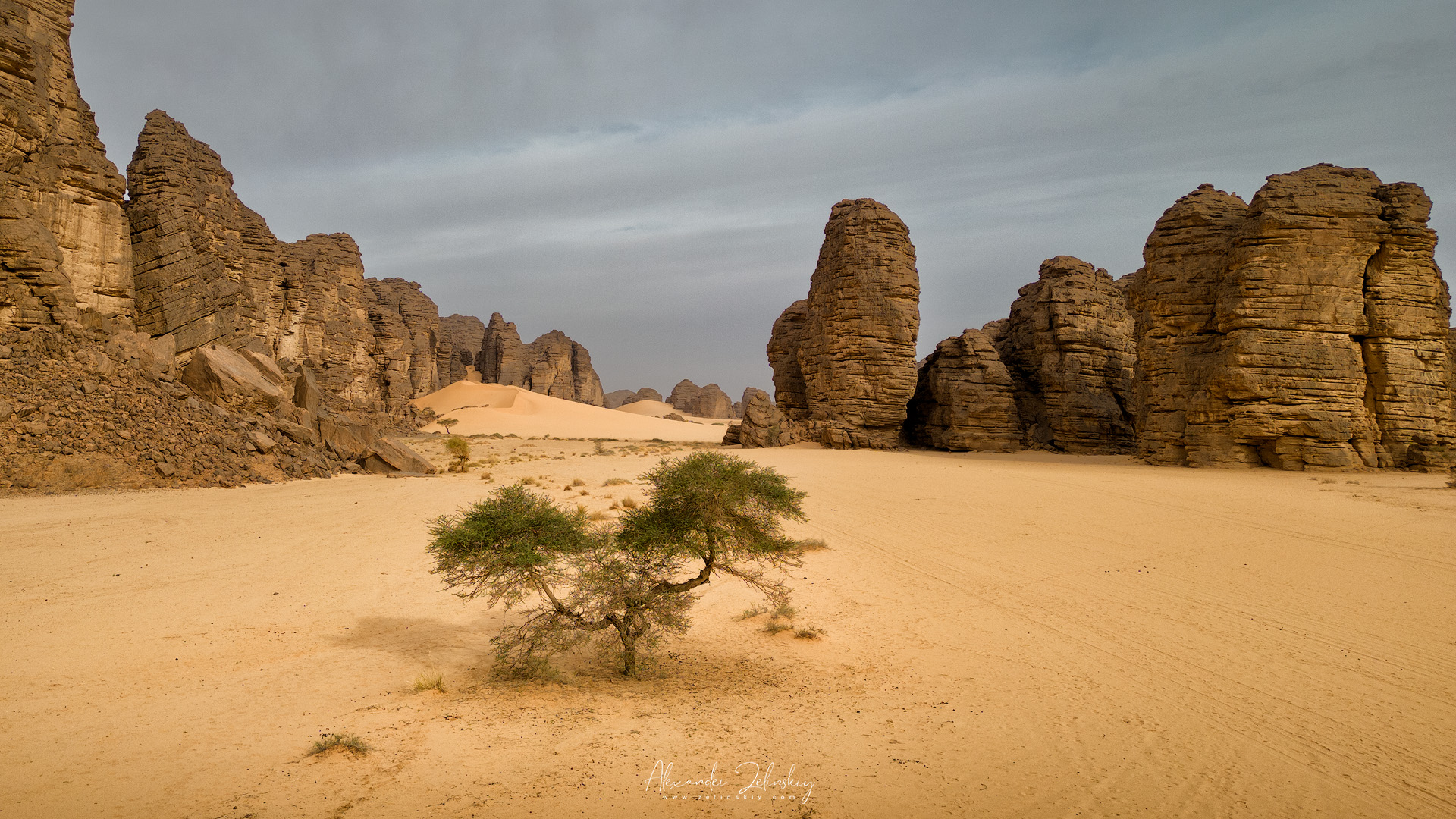 Elephant Rock Valley