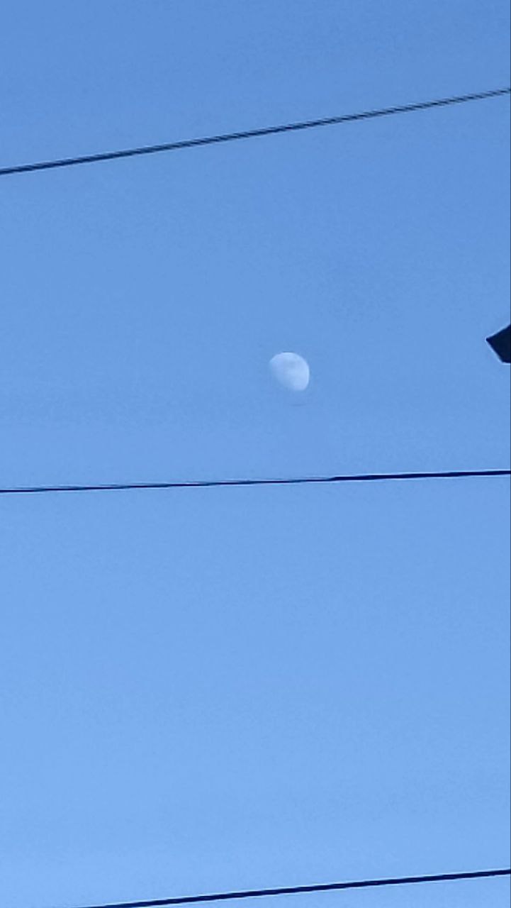 Mond