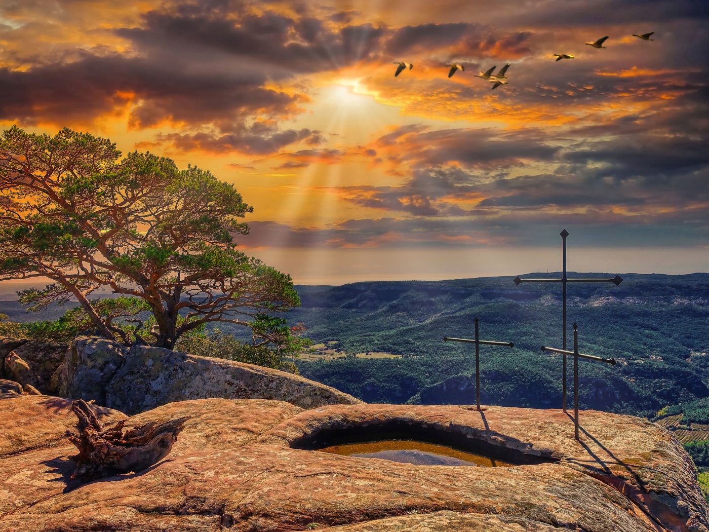 Rojals (Montblanc) - Mola d'Estats - Conca de Barberà