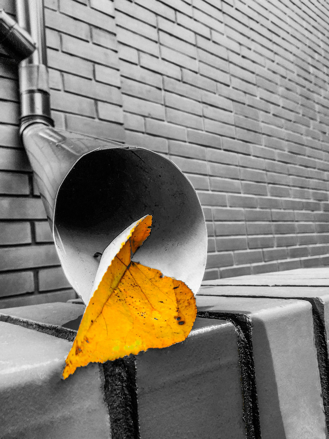 Der Herbst ist da und kommen ...