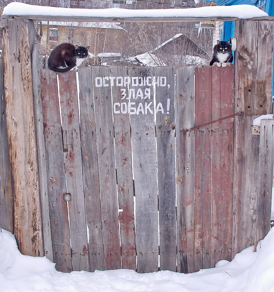 Vorsicht, bissiger Hund!