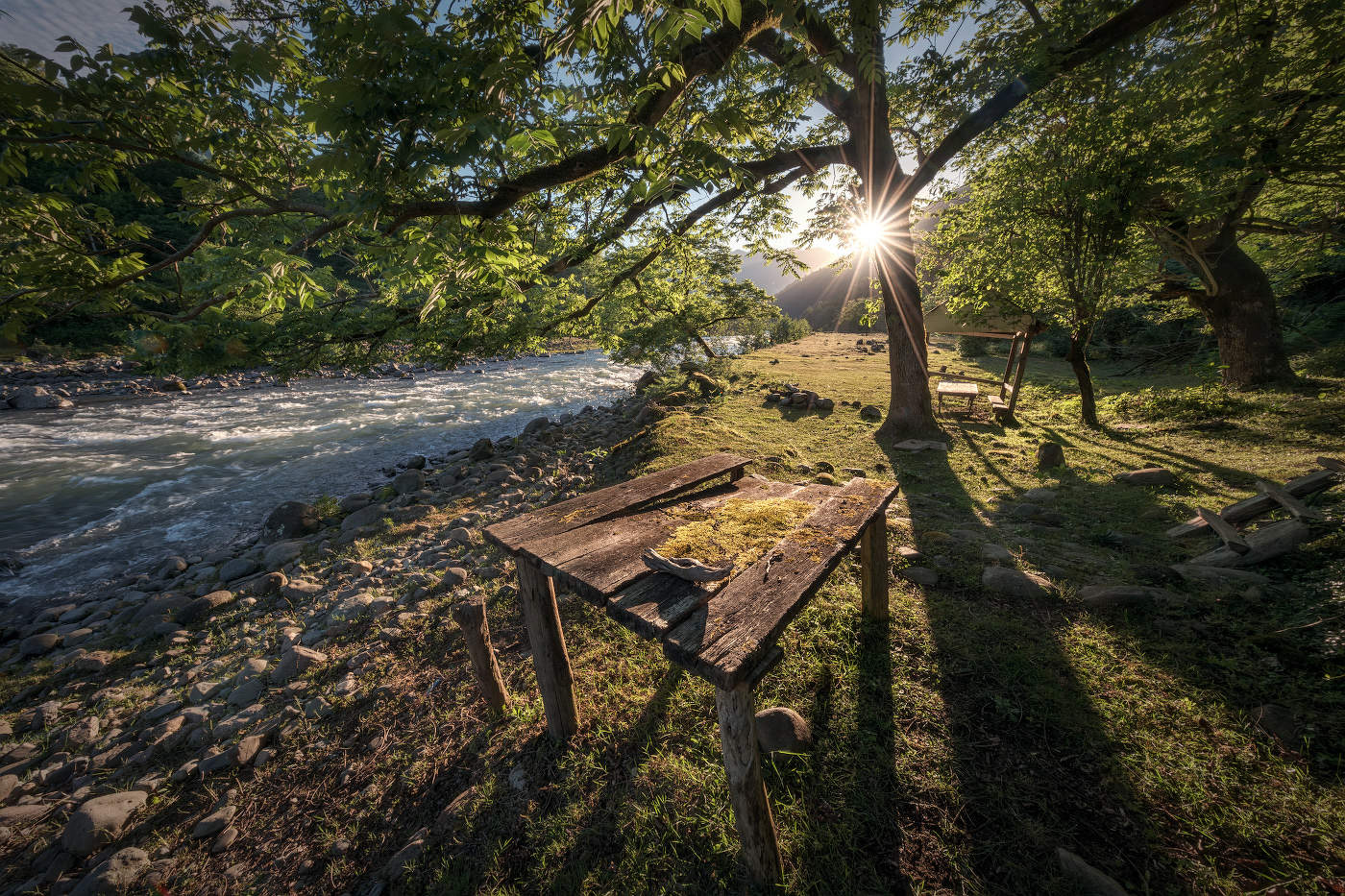 Sunny Meadow By The River
