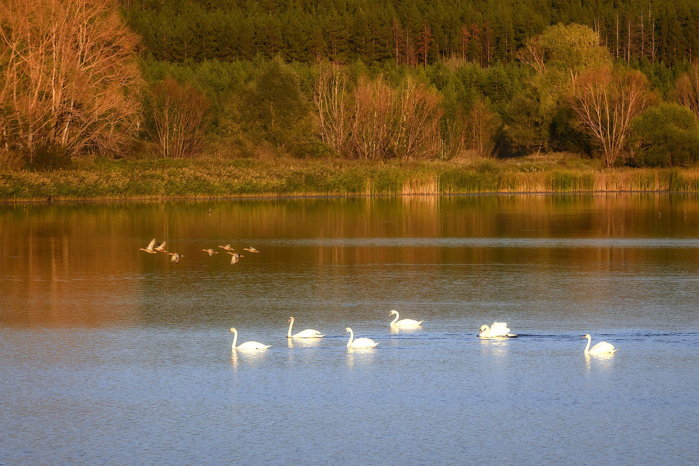 ohne Worte ... oder Sie wissen nicht, wie ich es nennen)))