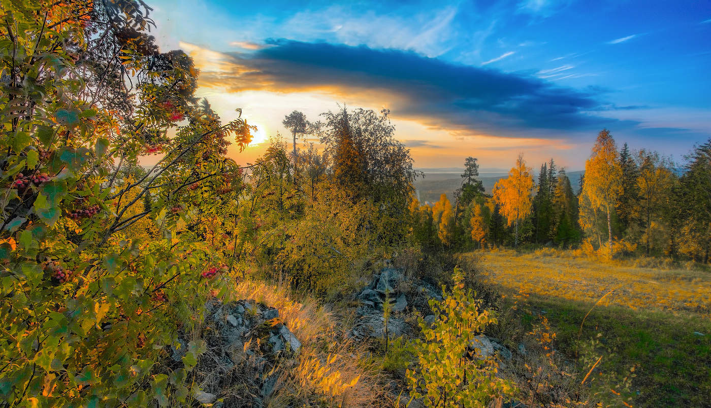 in den herbstlichen Wald