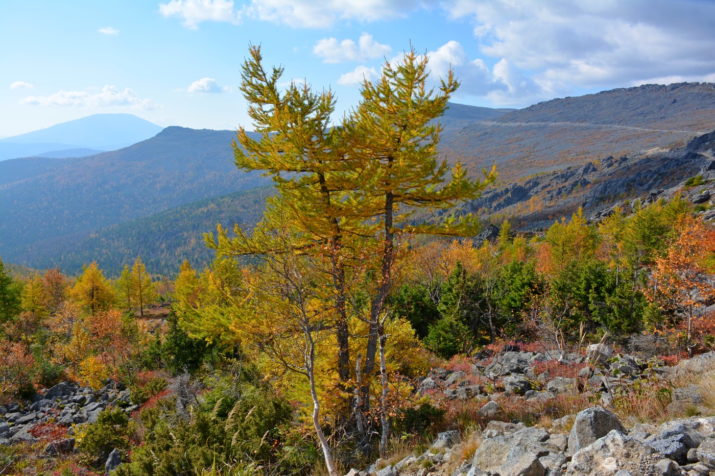 Herbst in den Bergen.