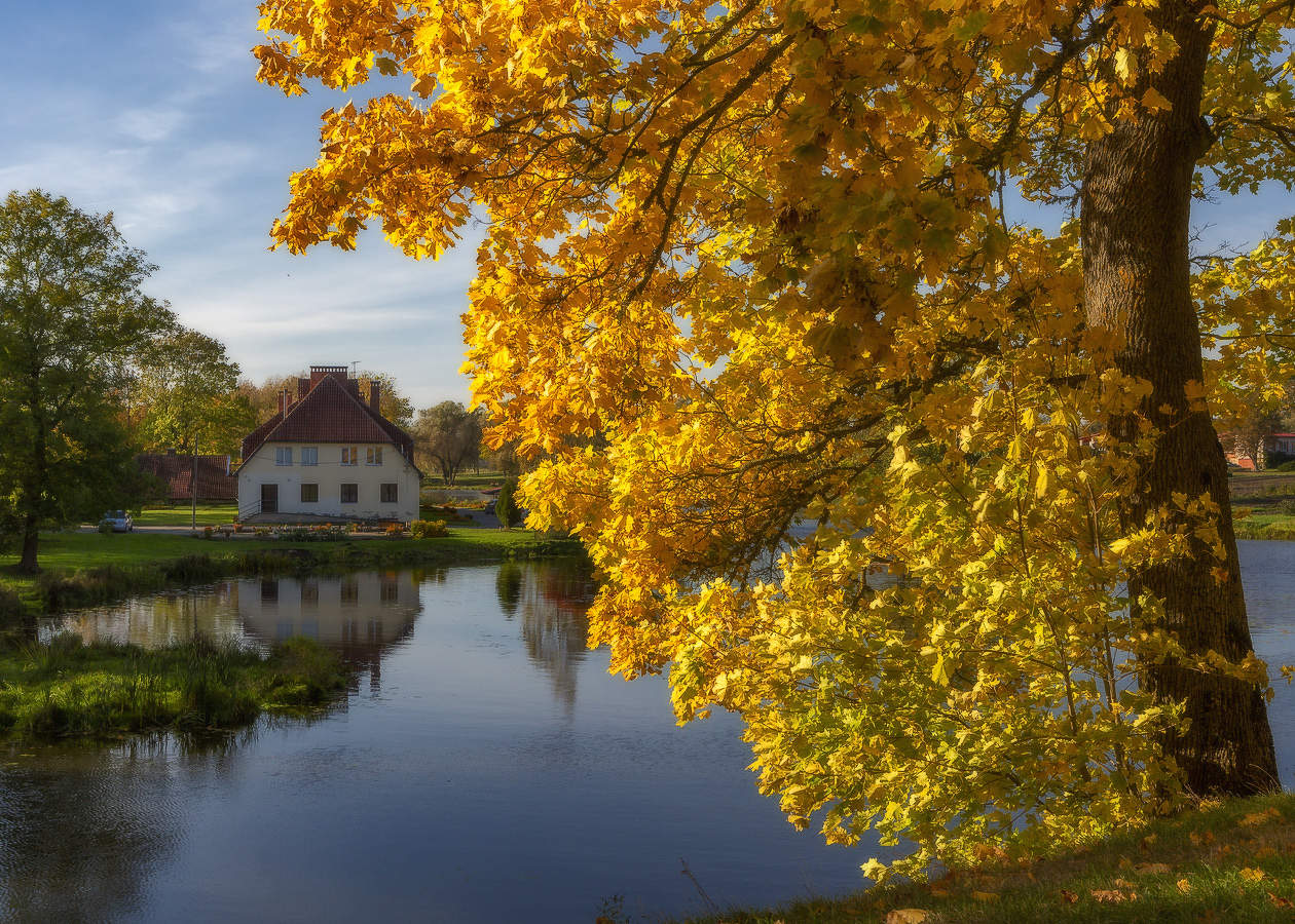 Autumn Gatchina