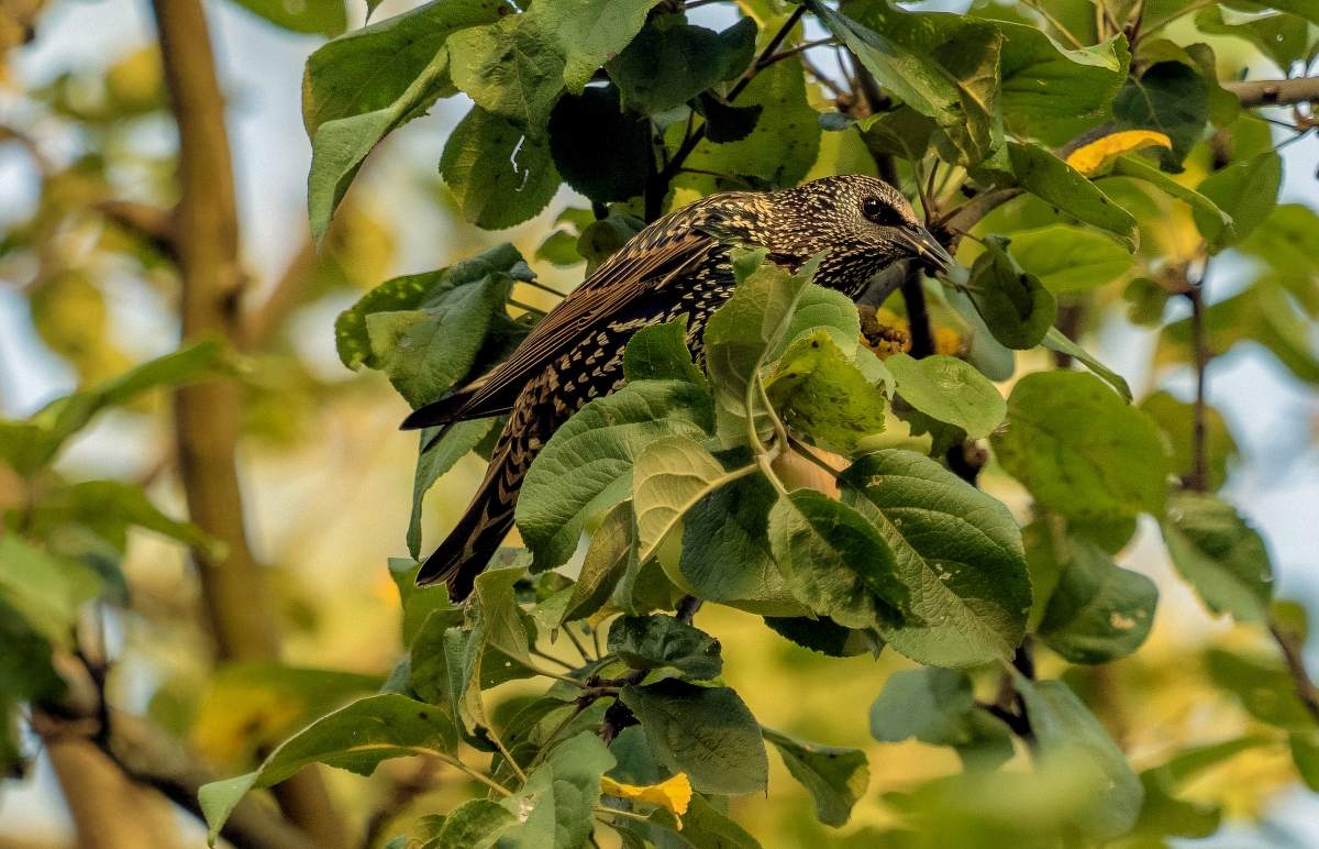 In gewisser Weise ...