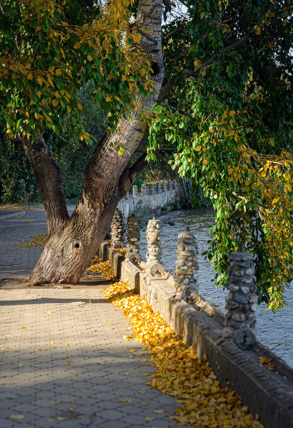 Die ersten Schritte fallen