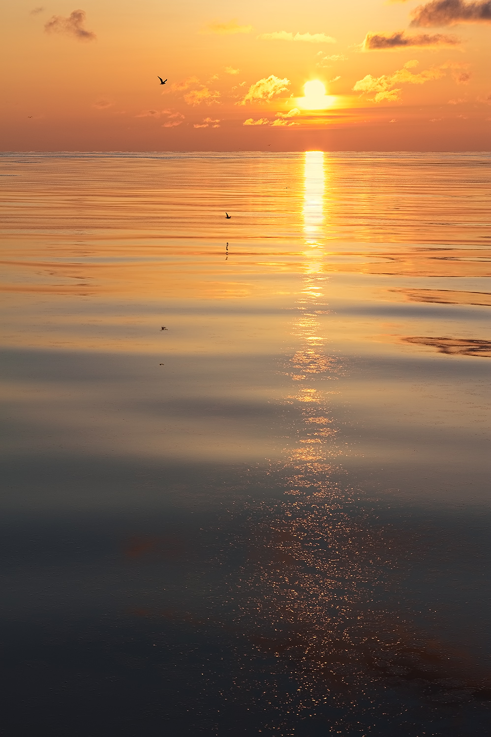 der Schweif eines Kometen