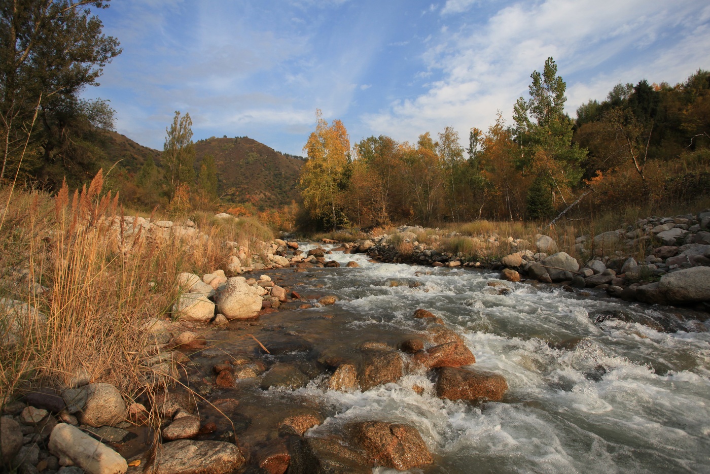Herbst auf dem Fluss