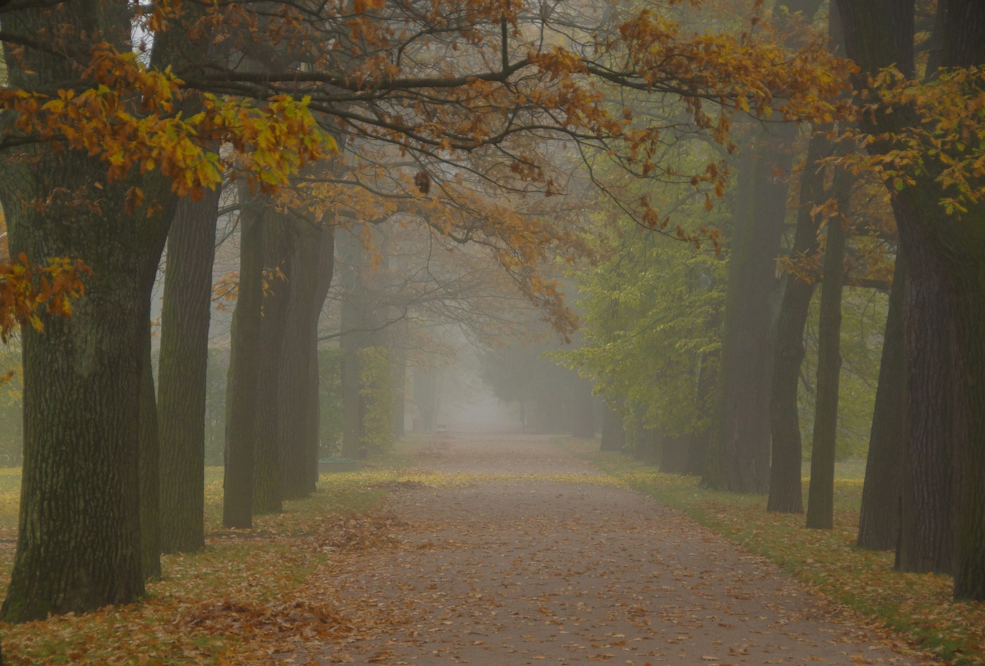 Sonnenaufgang über dem Fluss