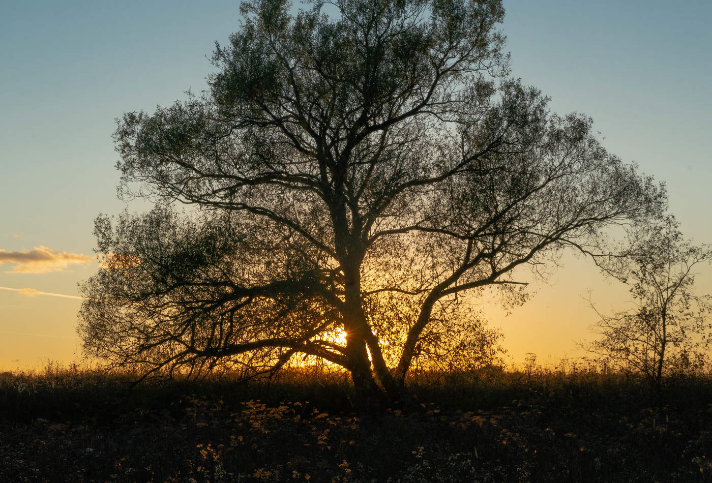 Herbst-Sonnenuntergang
