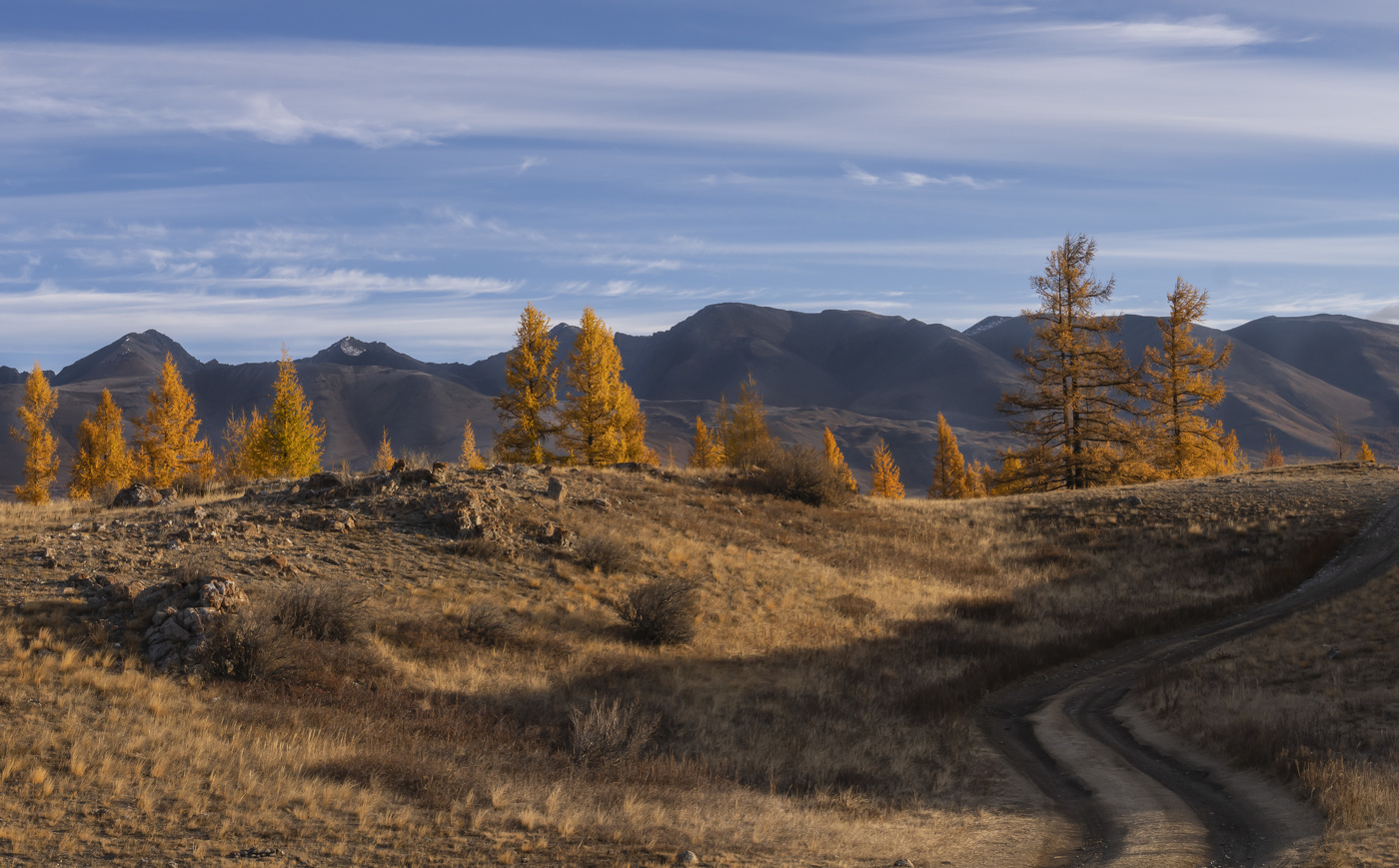 Autumn Altai