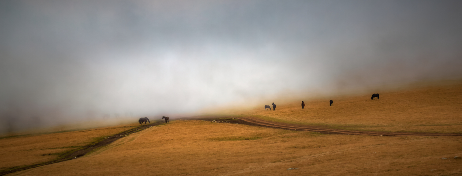 Angleichung des Nebels