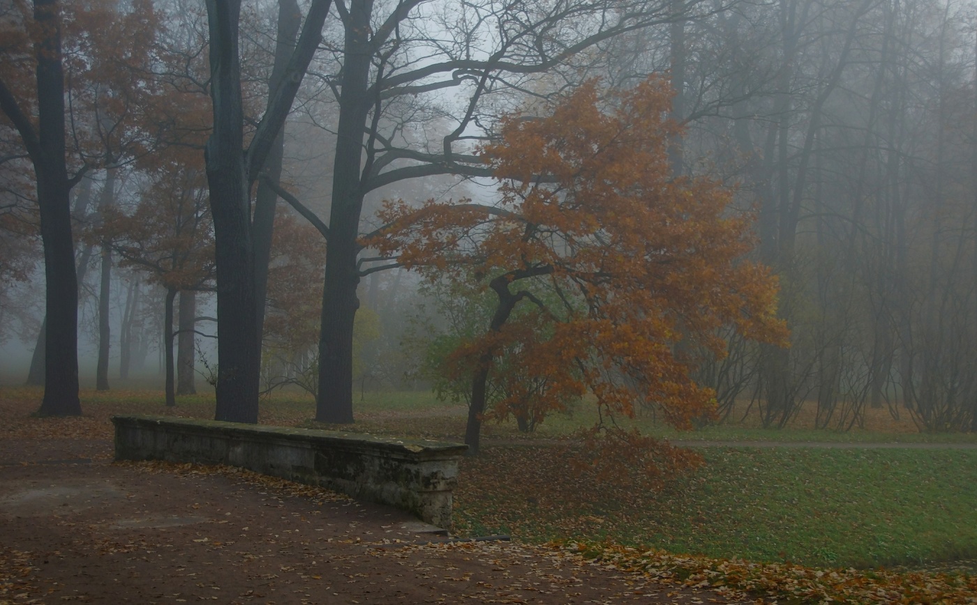 Sonnenaufgang über dem Fluss