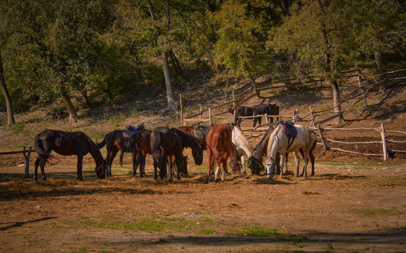 An einem sonnigen Tag