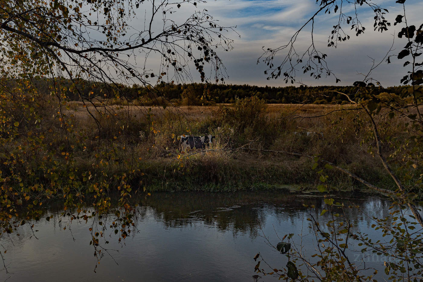 Am Abend Sonnenuntergang