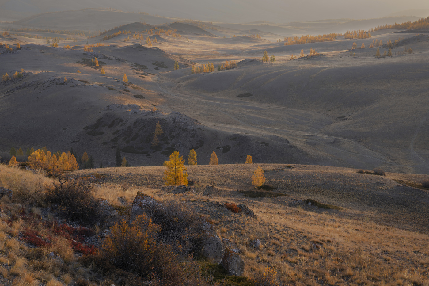 Altai Herbst