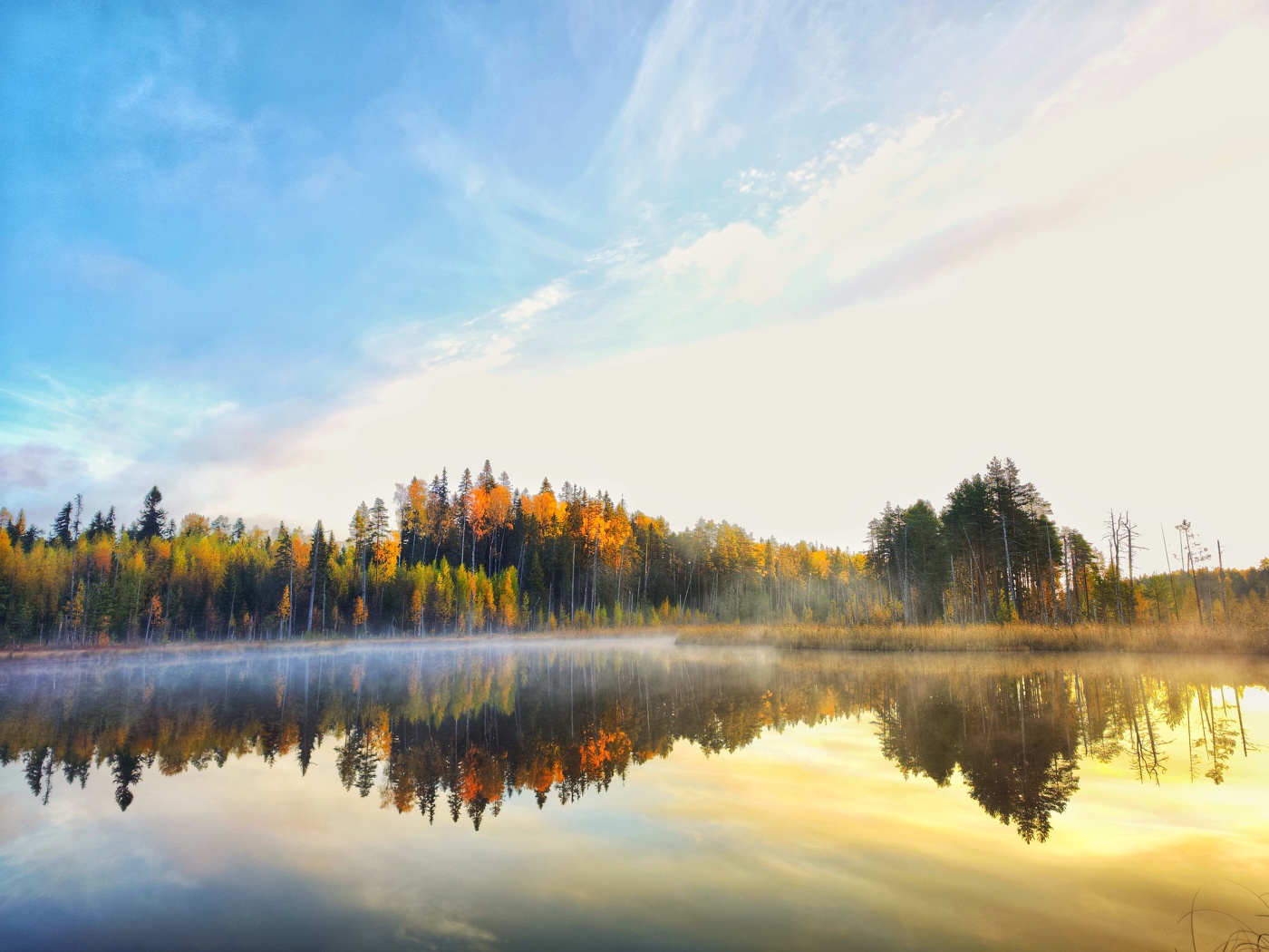Dämmerung auf dem Sumpf