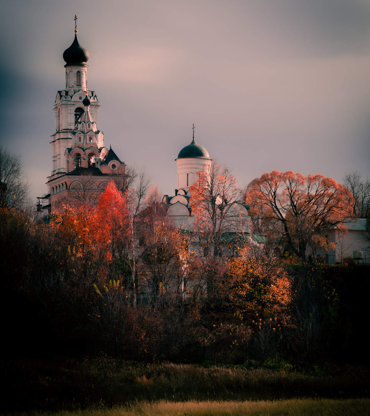 in den Strahlen der Herbstsonne