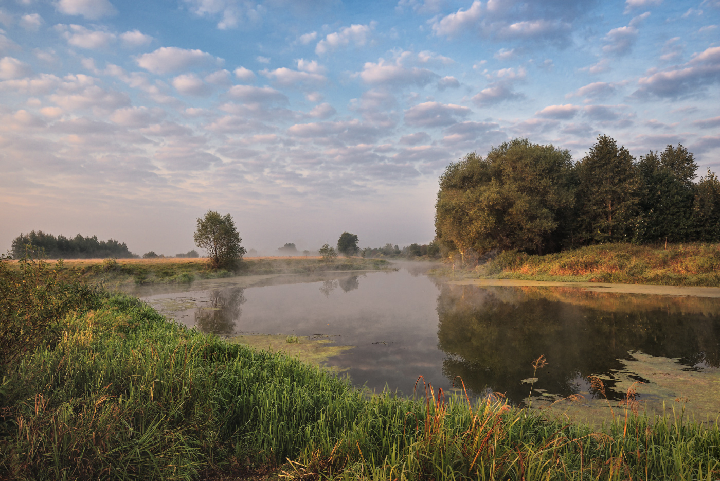 Sonnenaufgang im Wald