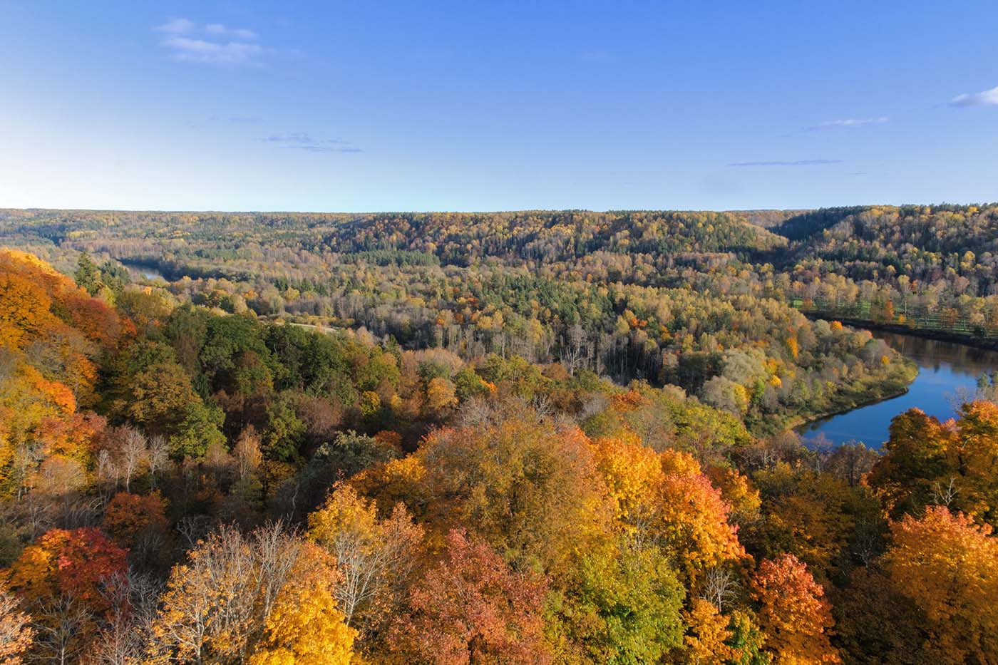 The Colors of Autumn. Gauja