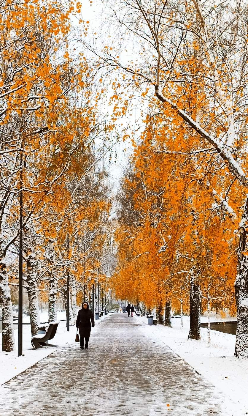 In den goldenen Herbst