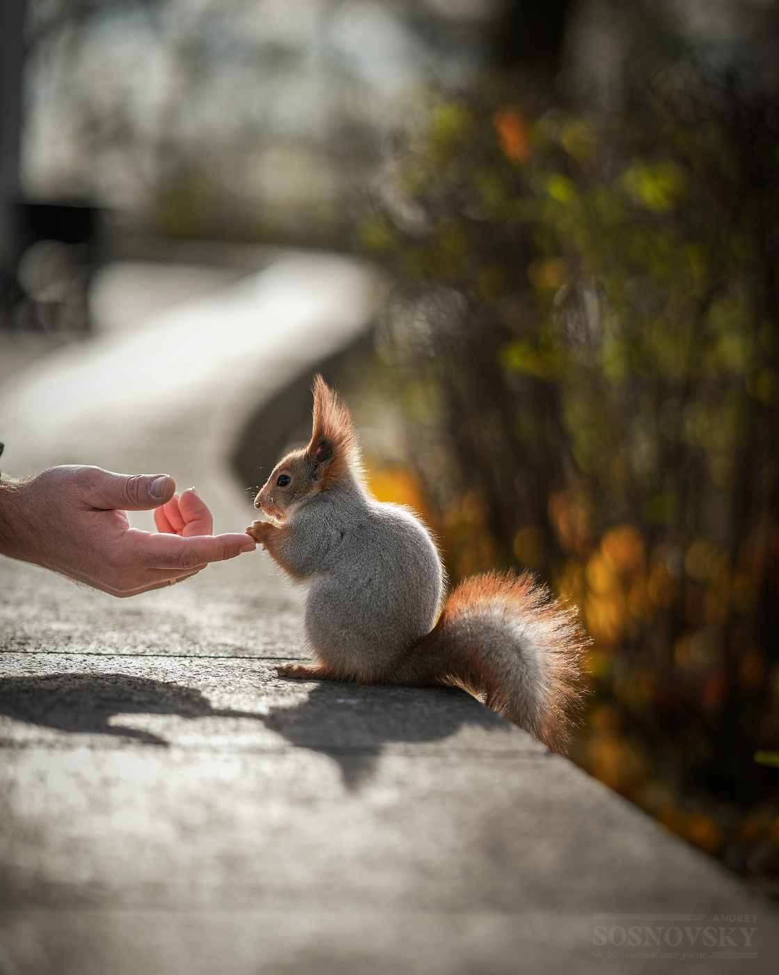 Lassen Sie uns Freunde sein!