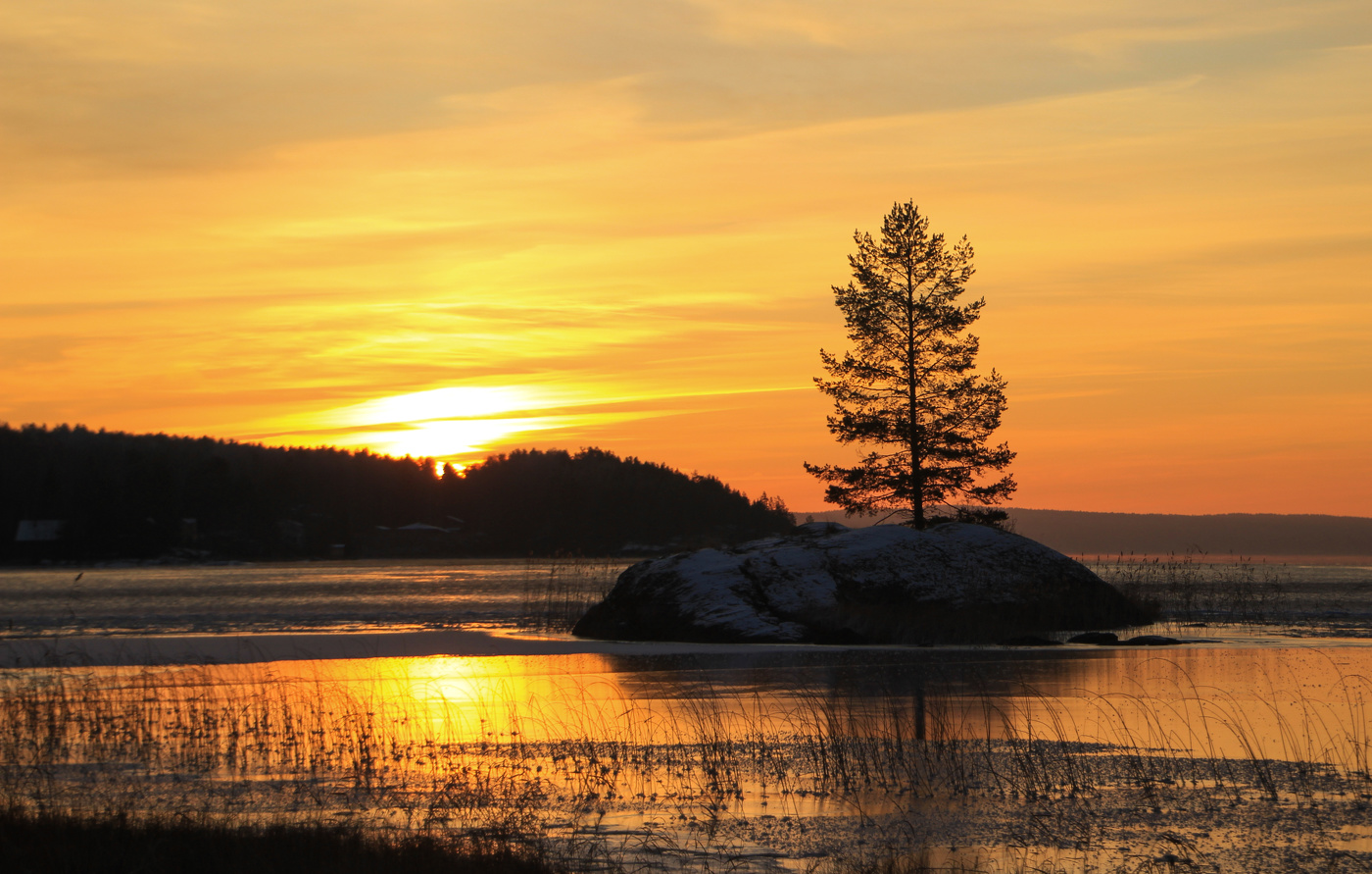 Herbst Morgendämmerung