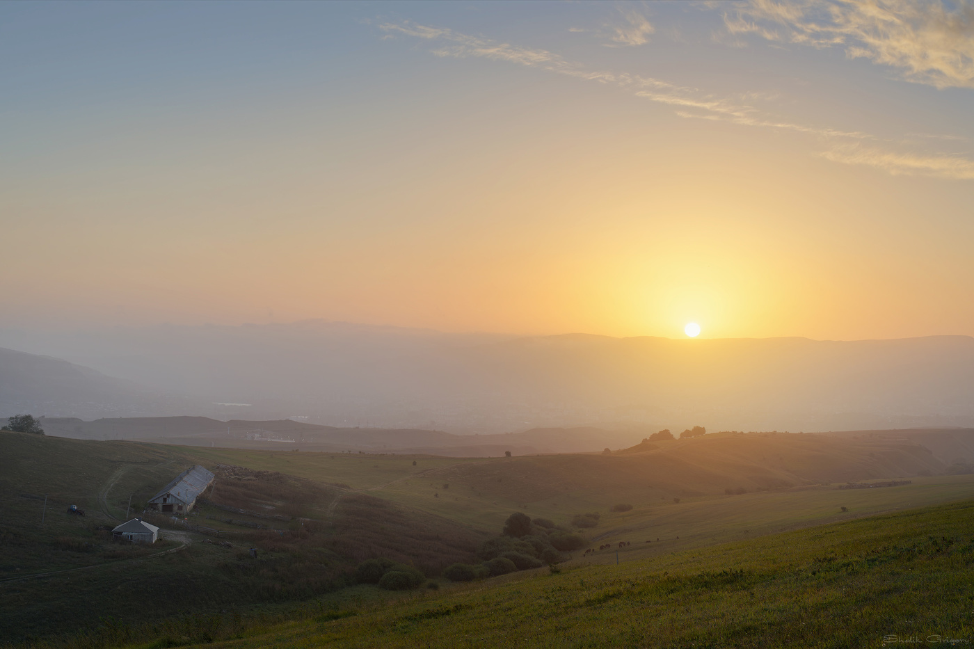 Sonnenaufgang im Wald