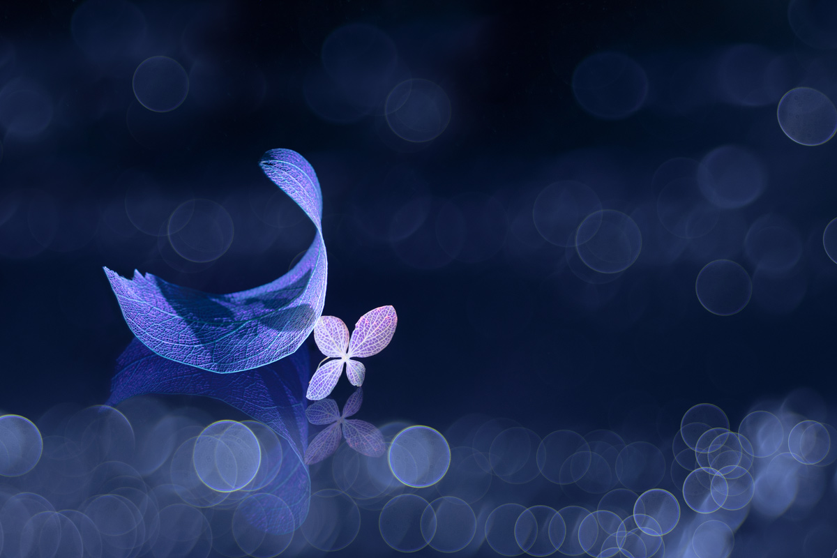 Freedom of illusions