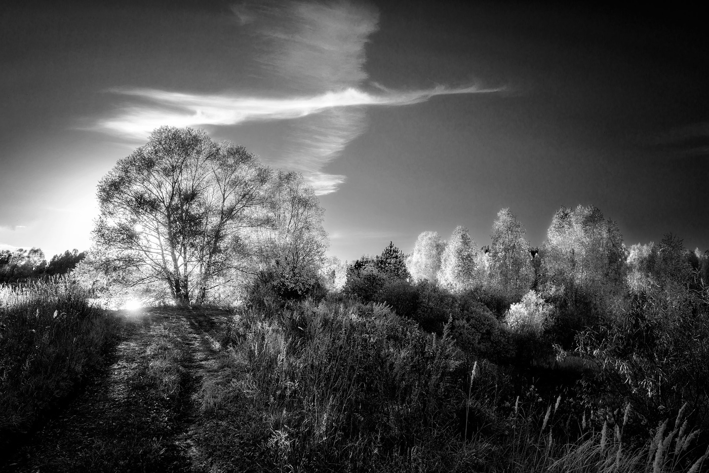 Nach dem Sonnenuntergang