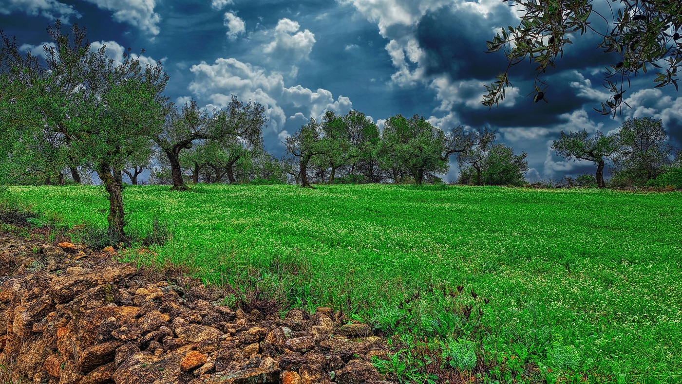 Tivissa - camí al Poblat ibèric del Castellet de Banyoles - Ribera d'Ebre