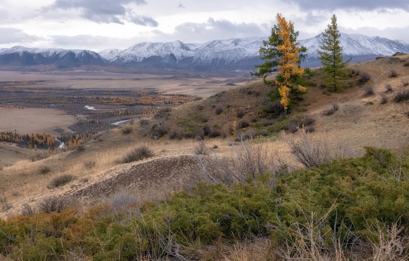 Autumn Altai