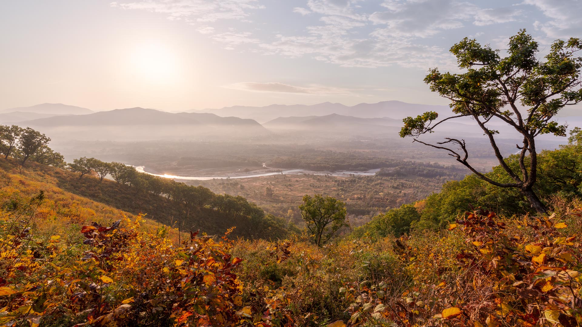 Morgendämmerung in den Bergen