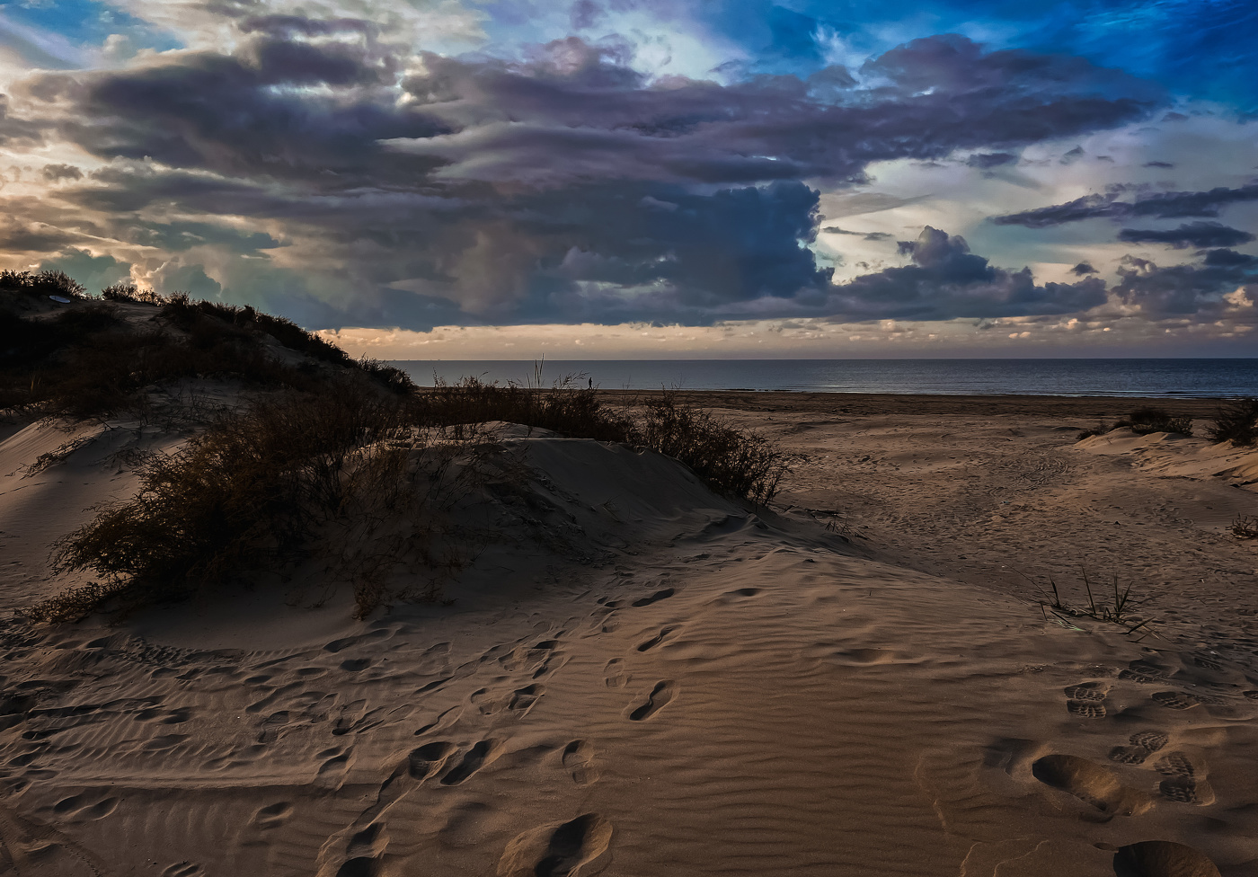 Sonnenaufgang im Wald