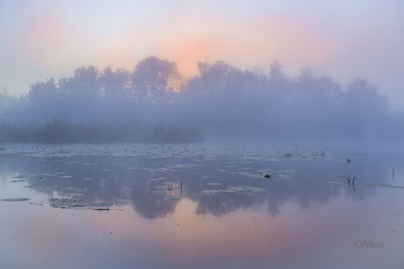 In der Morgendämmerung.