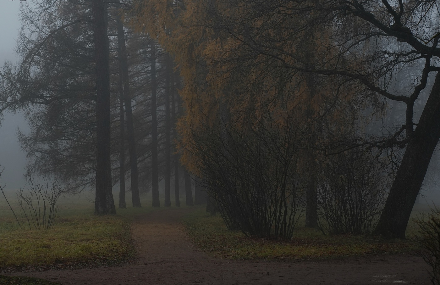 Sonnenaufgang über dem Fluss