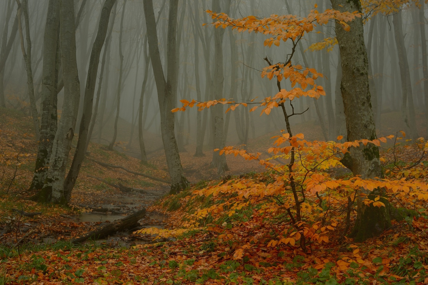 Sonnenaufgang über dem Fluss
