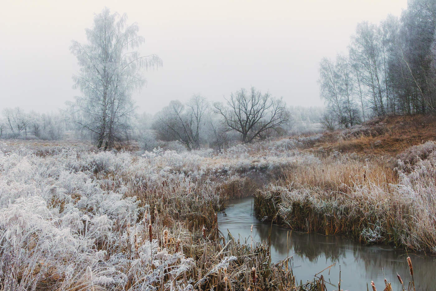 Am Vorabend des Winters